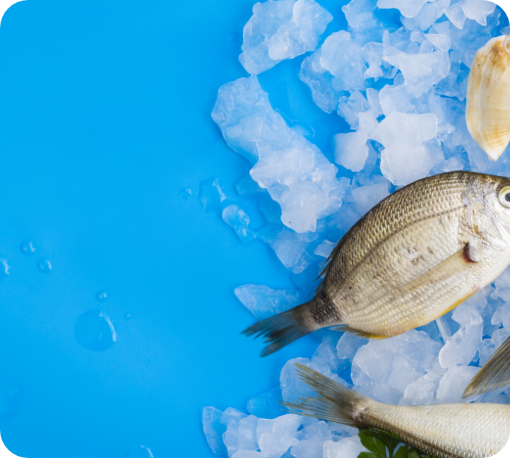 Fresh Fish