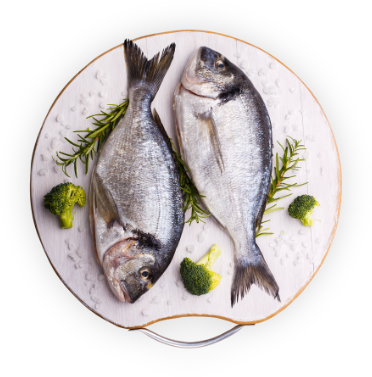 Preview: Sesame Citrus Fish Plate